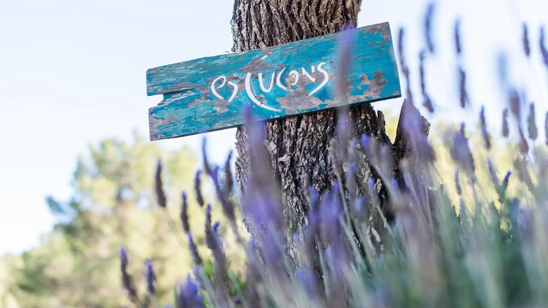 Es Cucons Rural Hotel Sant Antoni de Portmany 0*,  İspanya